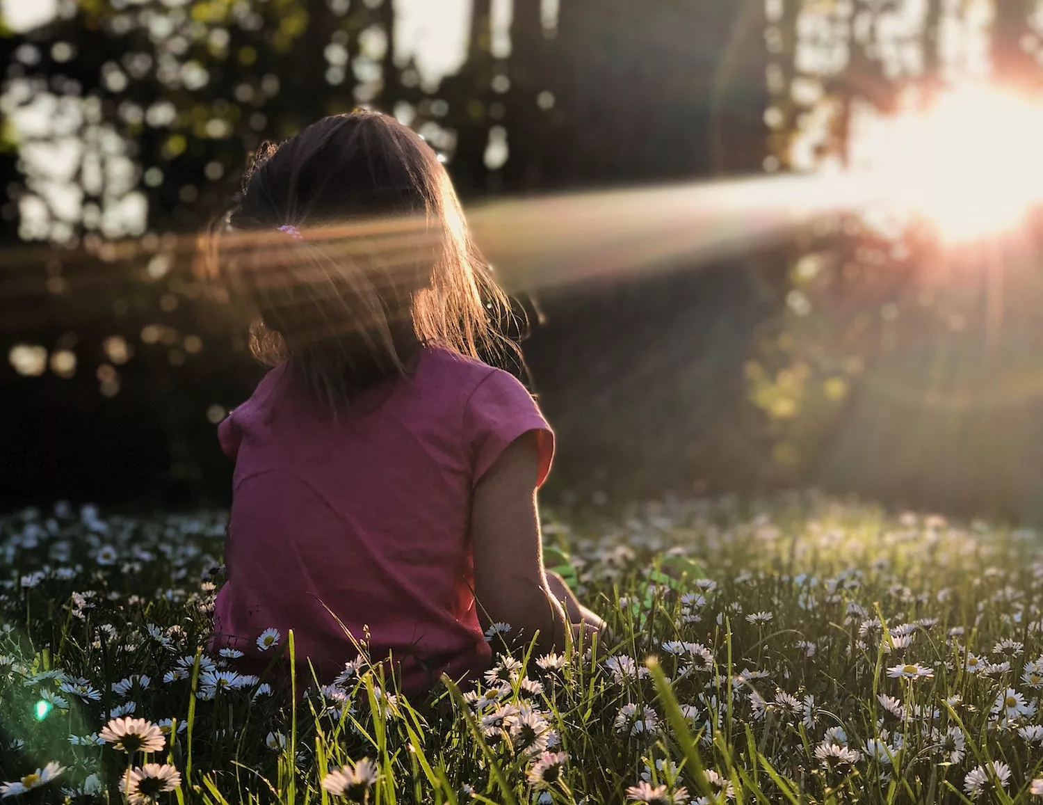 Miércoles de bendiciones y oraciones: Una guía para encontrar esperanza, alegría y coraje